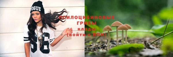 PSILOCYBIN Беломорск