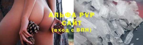 PSILOCYBIN Беломорск