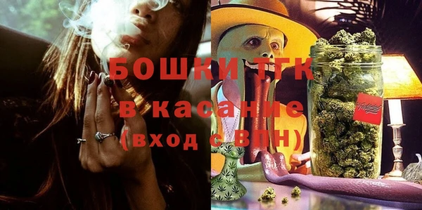 PSILOCYBIN Беломорск