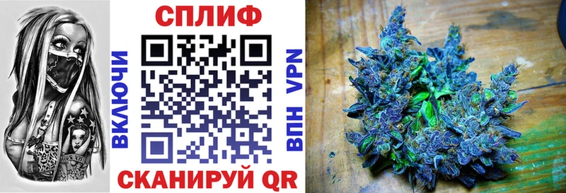 где купить наркоту  Коммунар  Шишки марихуана тримм 